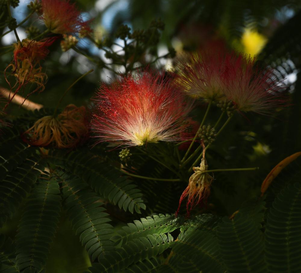 Natur (31)