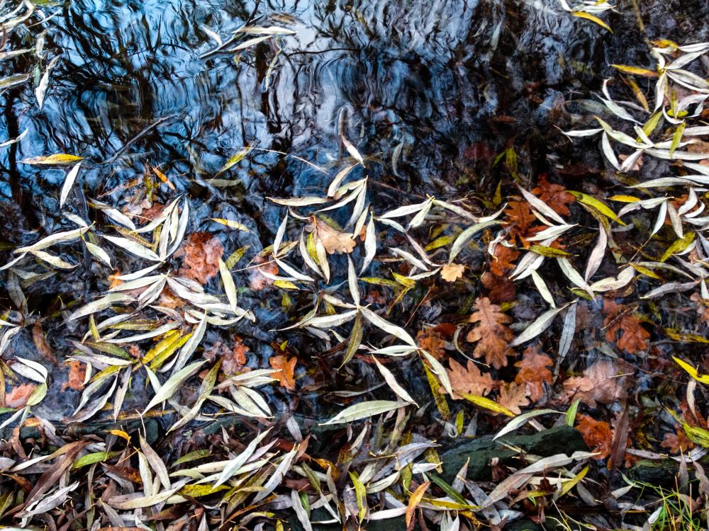 Herbst, 2