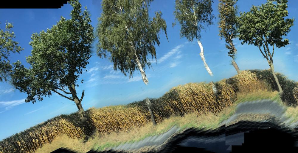 Fragments of speed: Floating trees