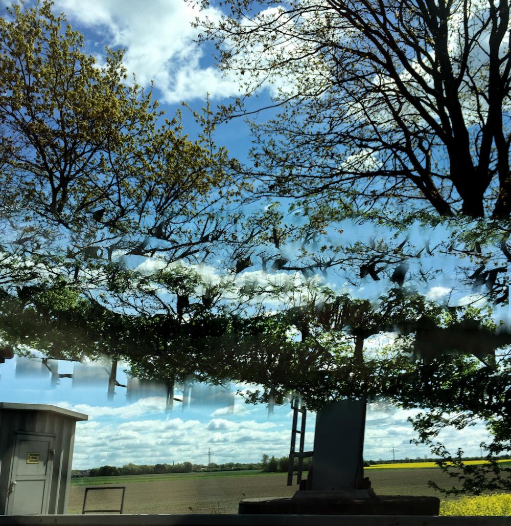 Fragments of speed: Monument for distorted nature