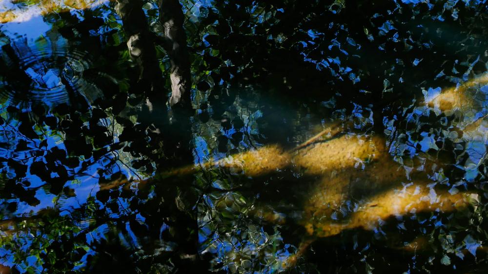 Wasser (16)