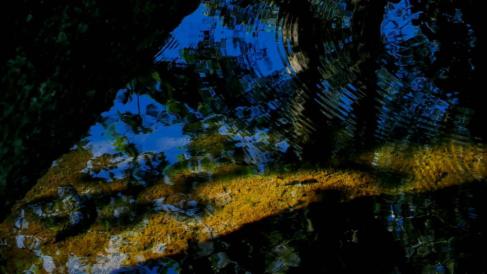 Wasser (17)