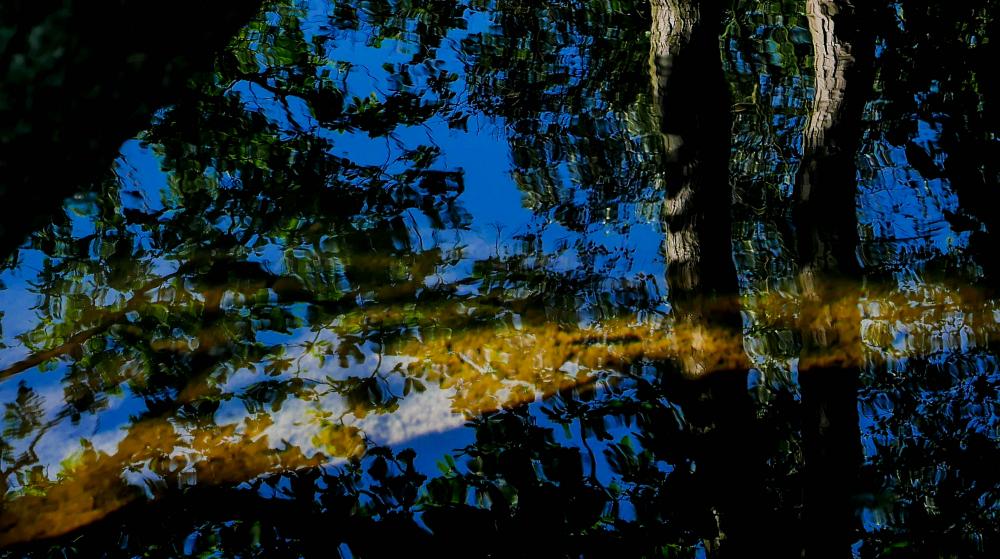 Wasser (18)