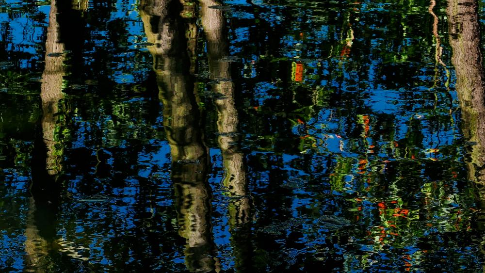 Wasser (22)