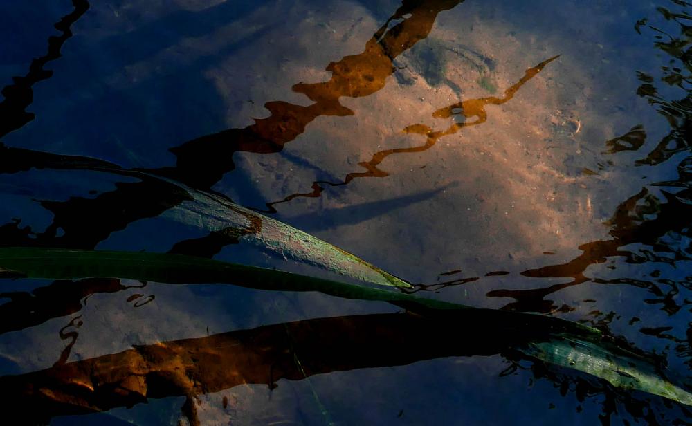 Wasser (10)