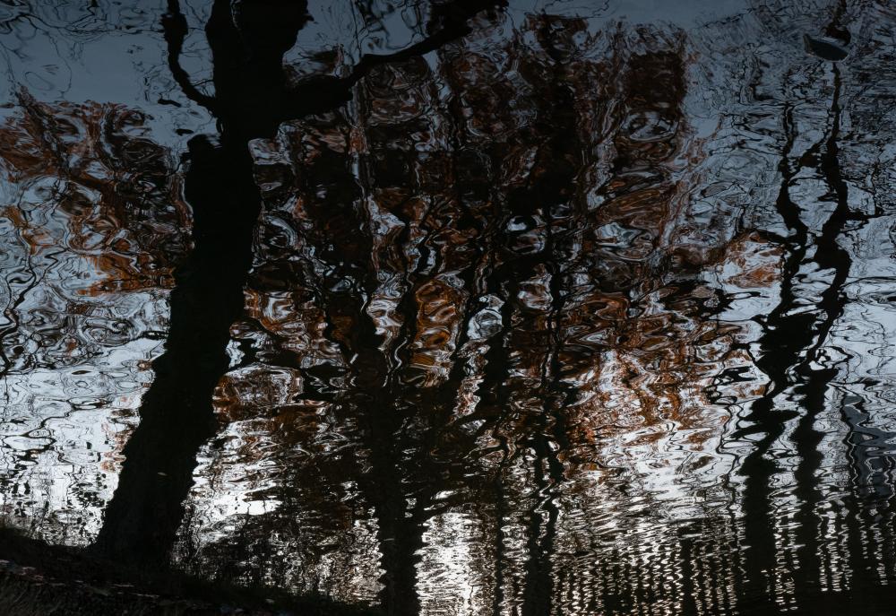Wasser (8)