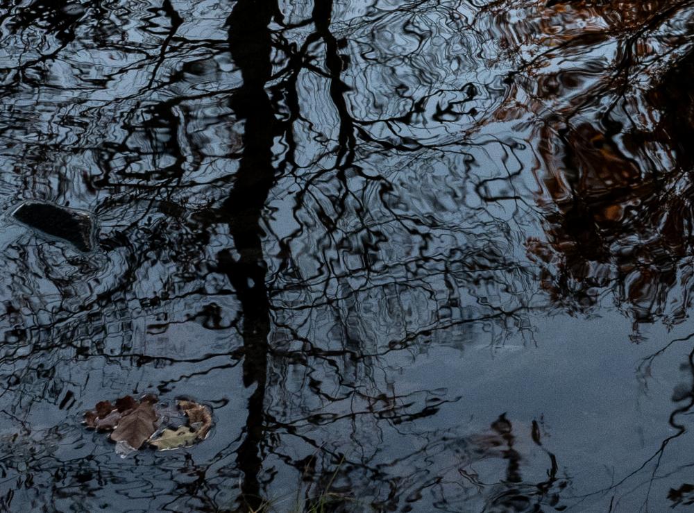 Wasser (3)