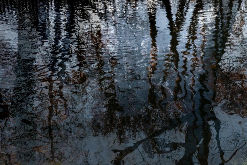 Wasser (5)