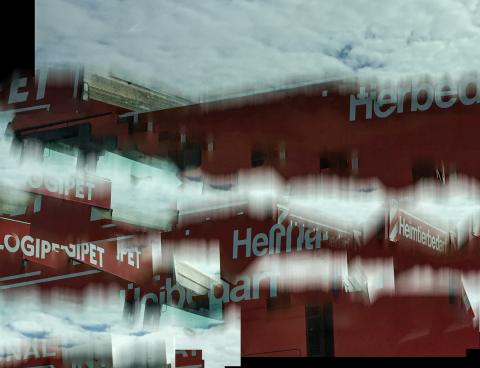 Fragments of speed: Heimtiere