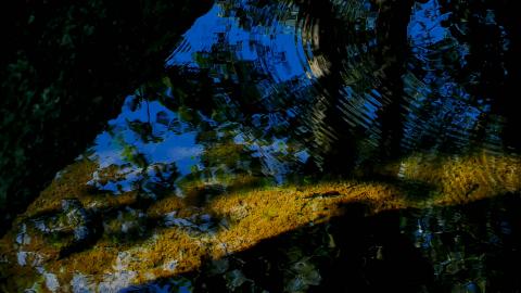 Wasser (17)