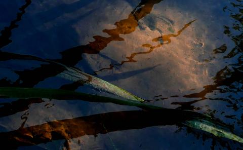 Wasser (10)