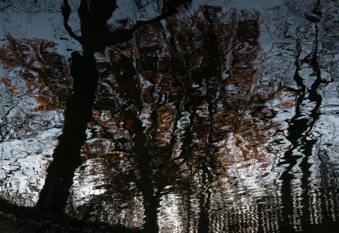 Wasser (8)