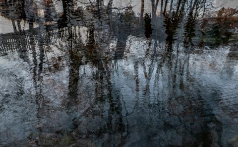 Wasser (9)