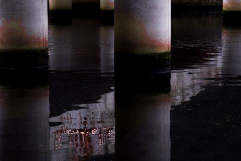 Amersfoort im Spiegel (6)