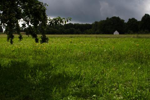 Freilicht Museum Detmold